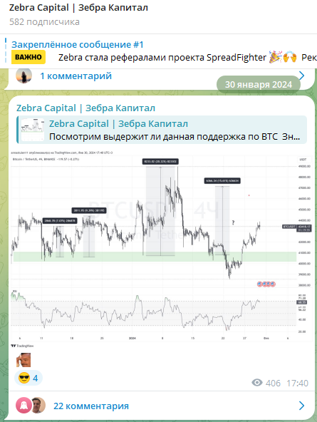 зебра капитал зебра капитал