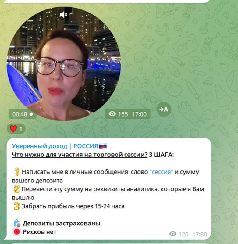 investludmila investludmila