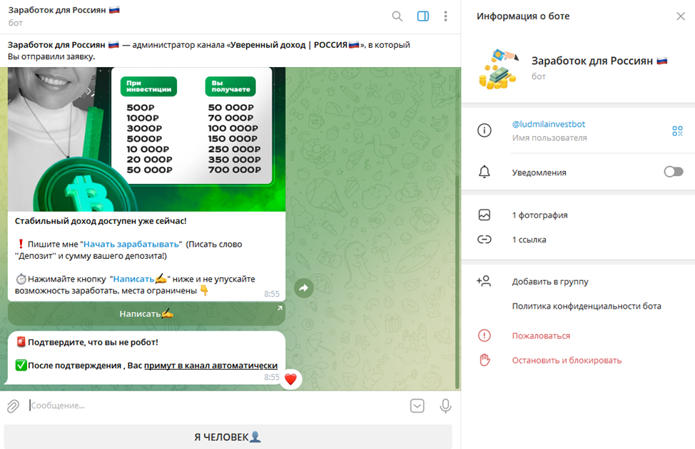 investludmila investludmila