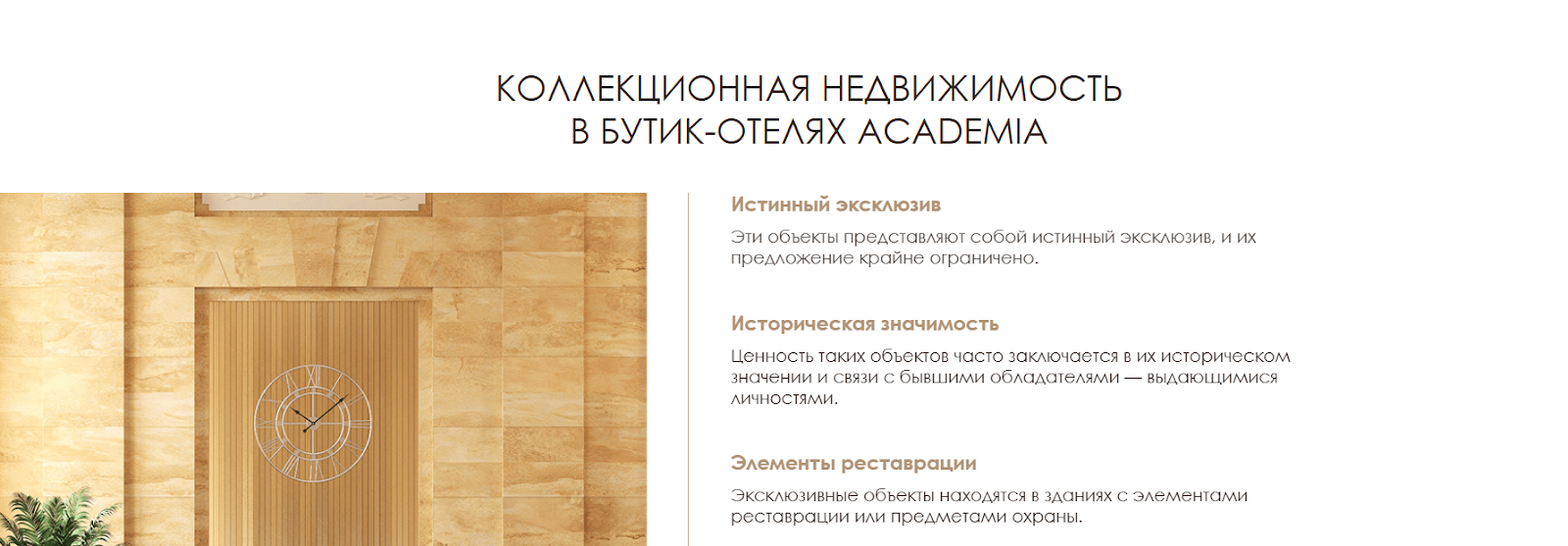 academia suit санкт петербург доход отзывы инвесторов academia suit санкт петербург доход отзывы инвесторов