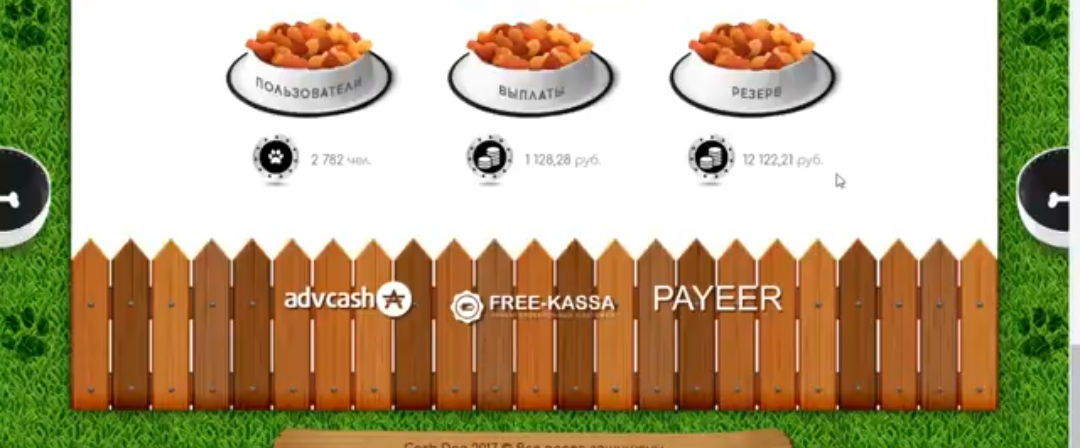 Cashdog отзывы Cashdog отзывы