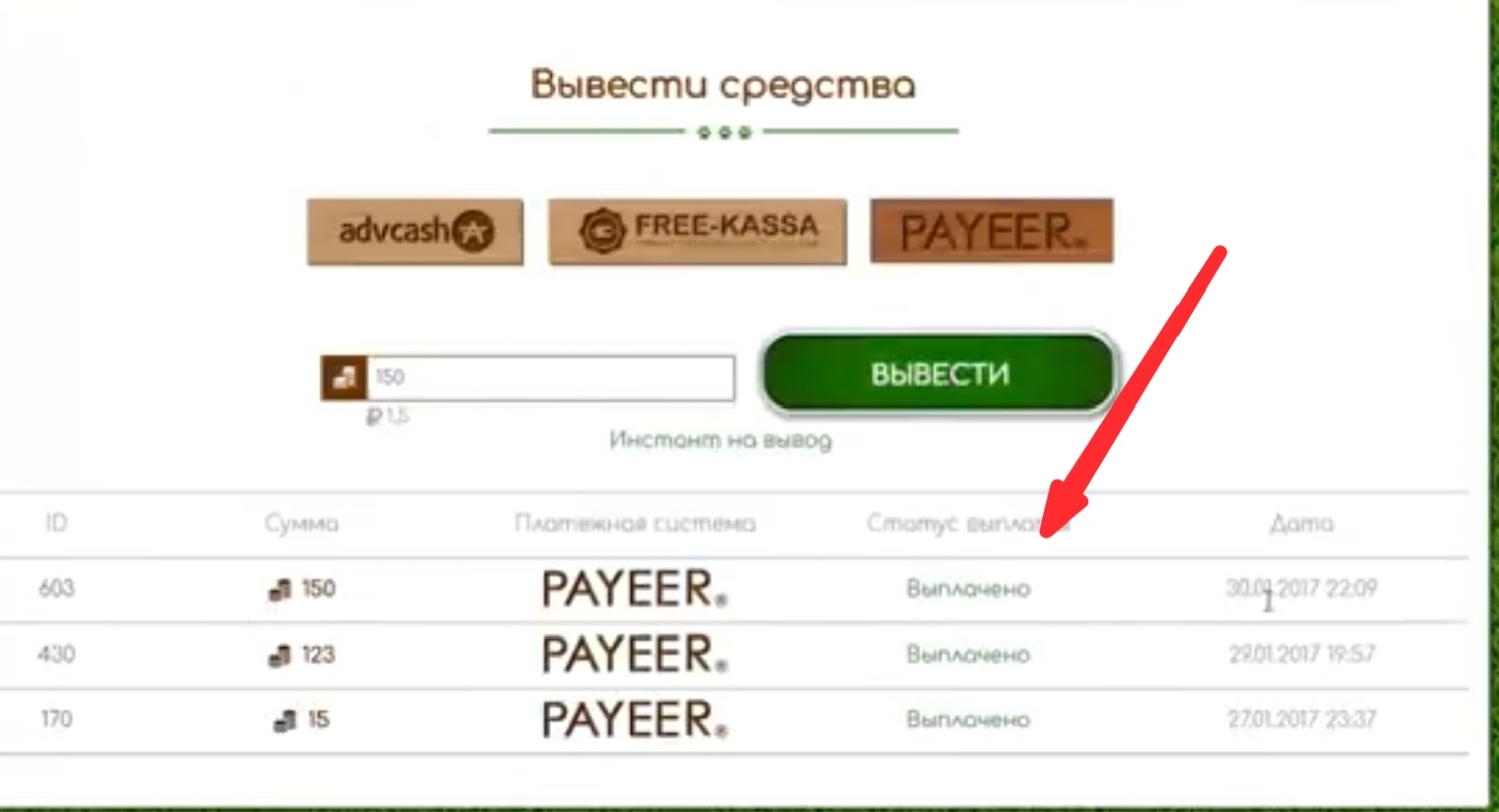 Cashdog отзывы Cashdog отзывы