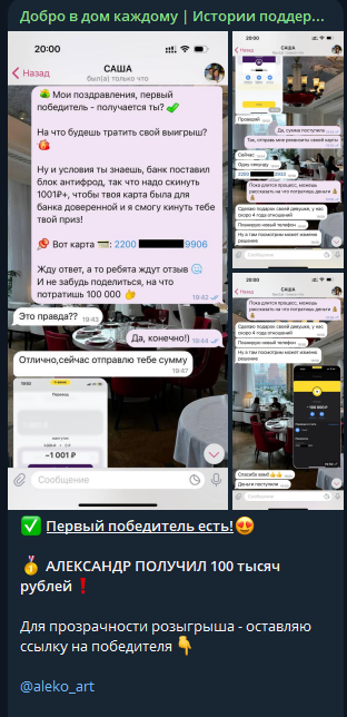 polinadar1t polinadar1t