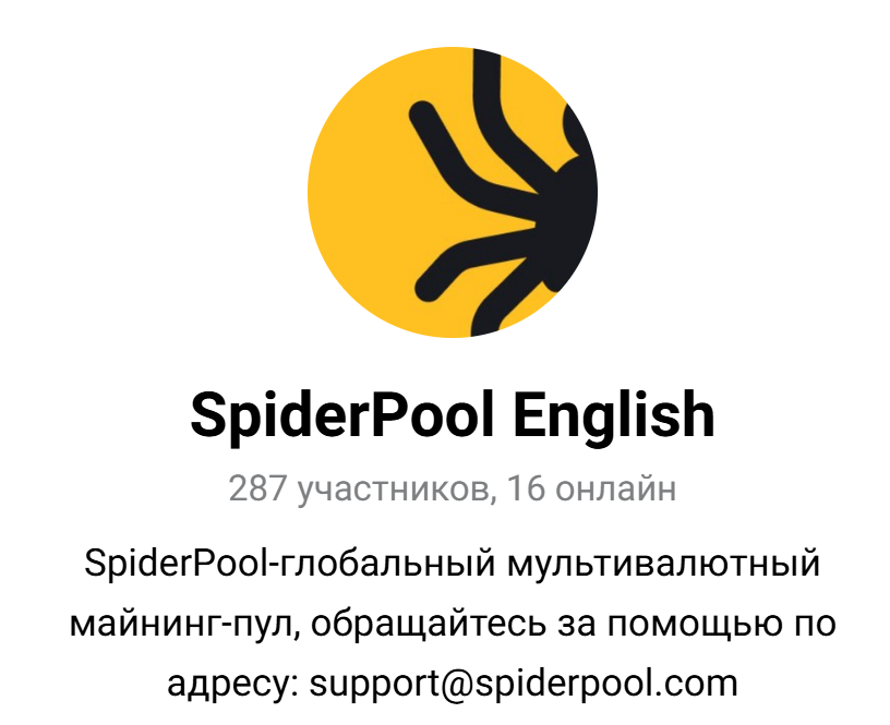 spider pool spider pool