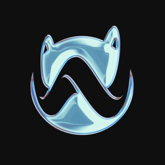 Amir Wallet