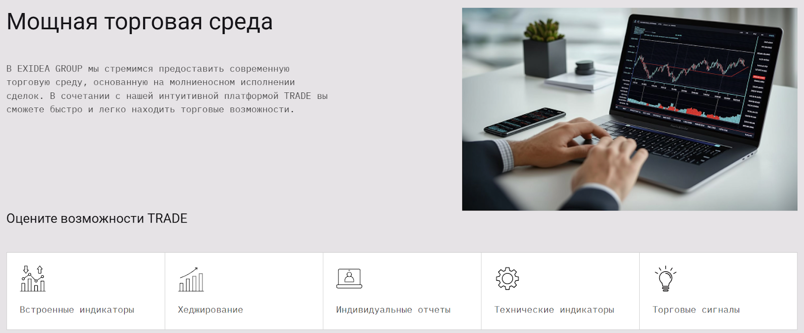 exidea exidea