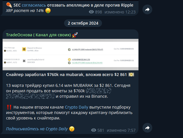 minaevosnova minaevosnova
