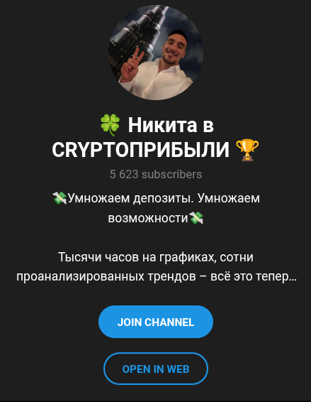 Никита в CRYPTO Прибыли Никита в CRYPTO Прибыли
