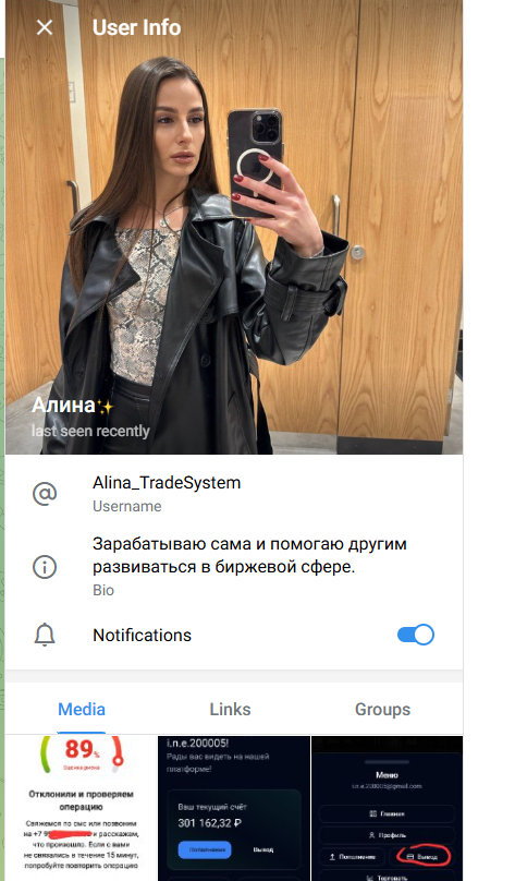 Alina TradeSystem Alina TradeSystem