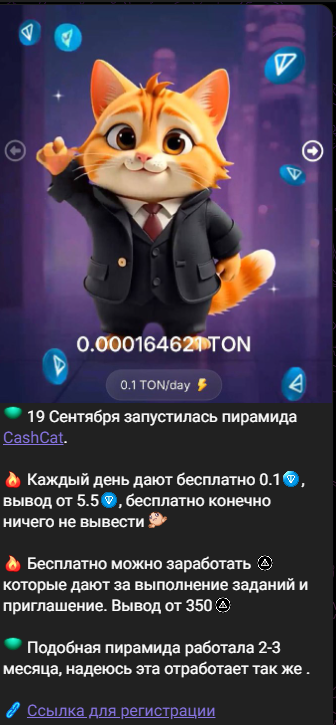 cashcat cashcat