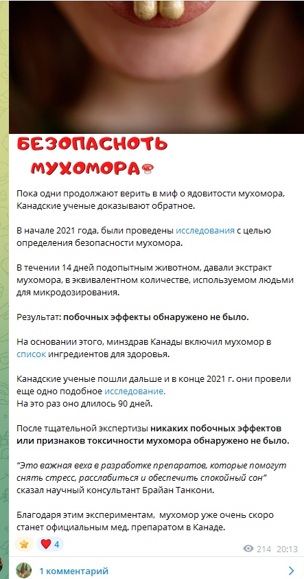 gribnajafea gribnajafea