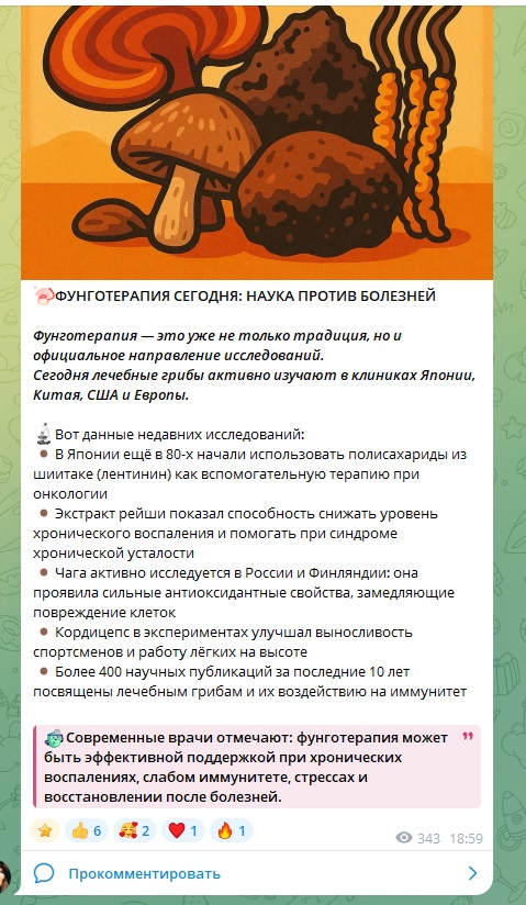 грибная фея грибная фея
