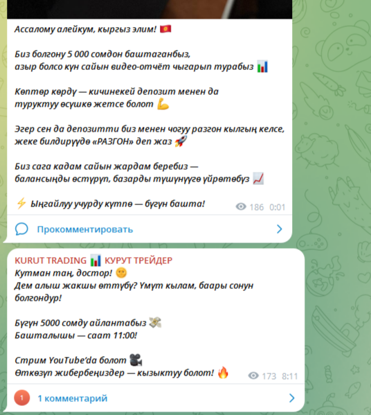 Курут Трейдер Курут Трейдер