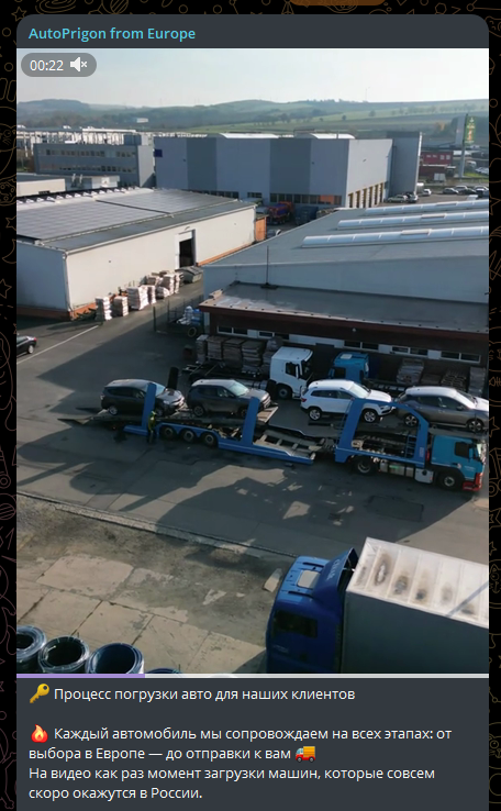 auto importexpert auto importexpert