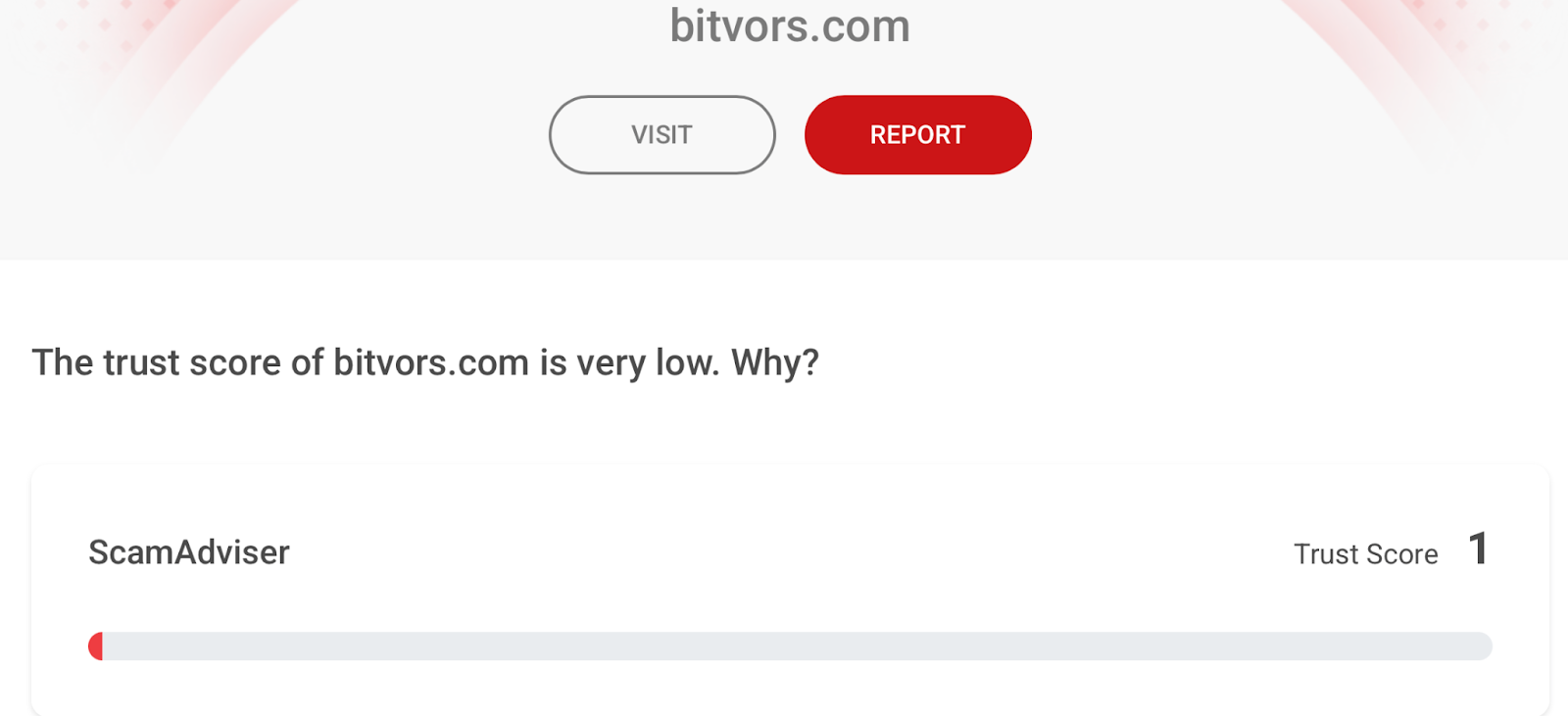 bitvors bitvors