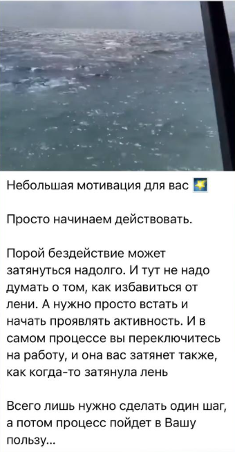 Алиса Владимировна Алиса Владимировна