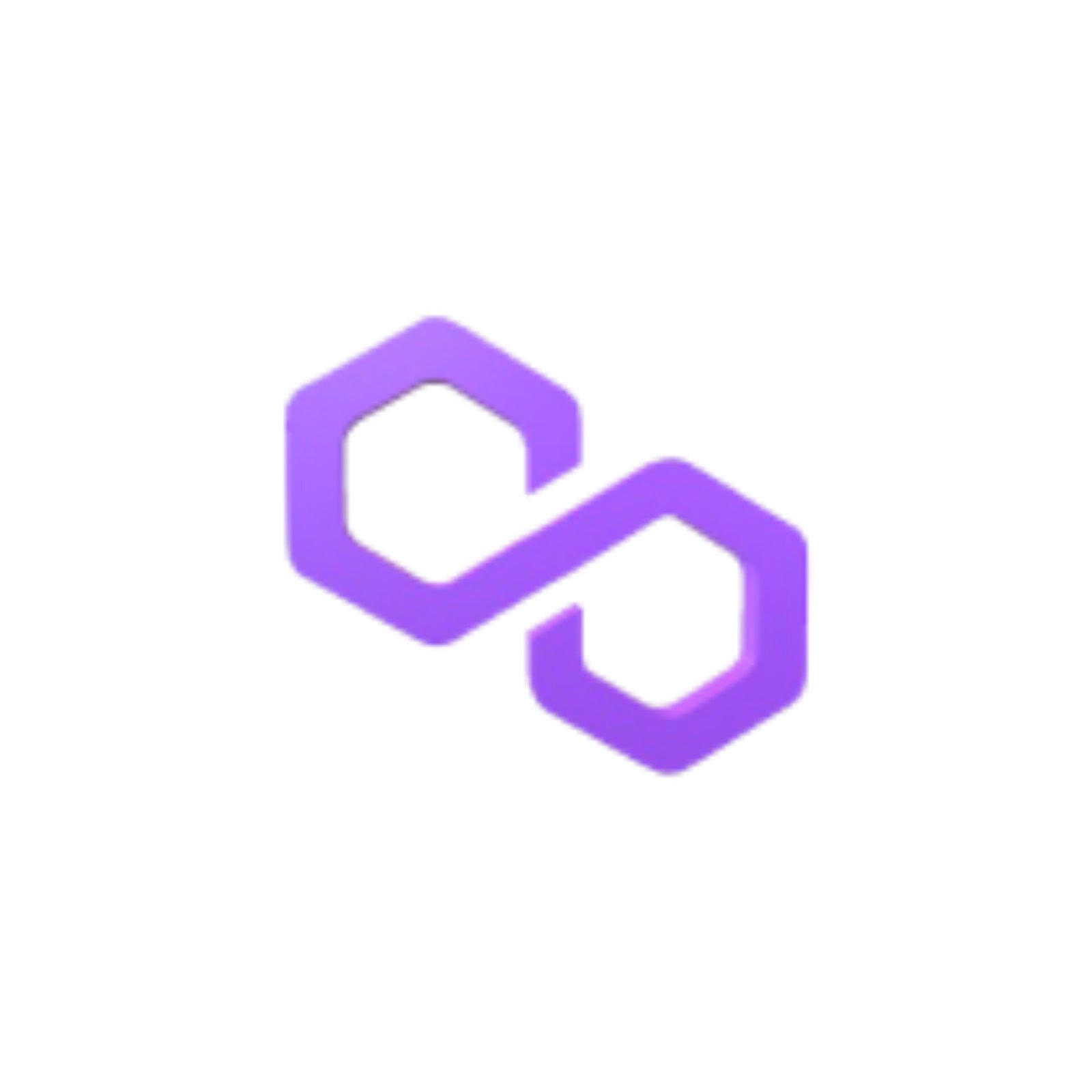 Polygon Wallet