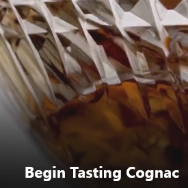 Qcc Cognac