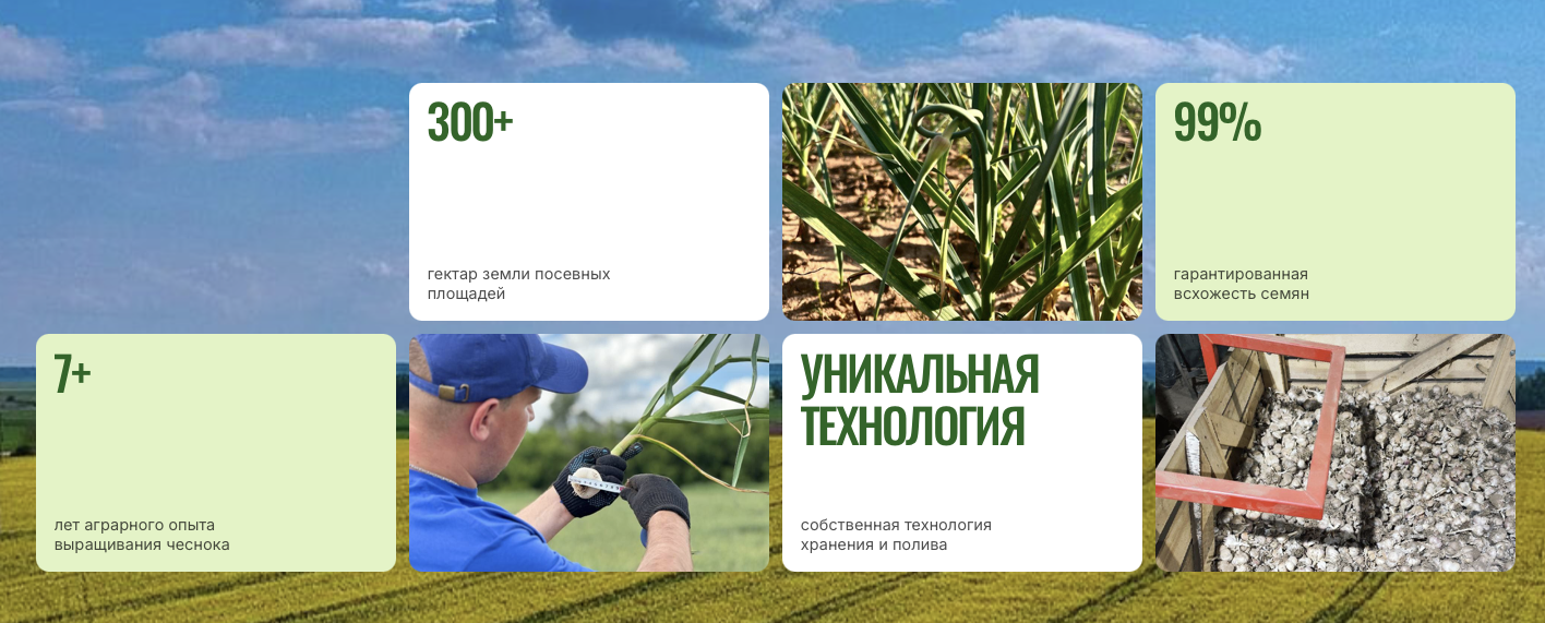 агрочеснок инвестиции агрочеснок инвестиции