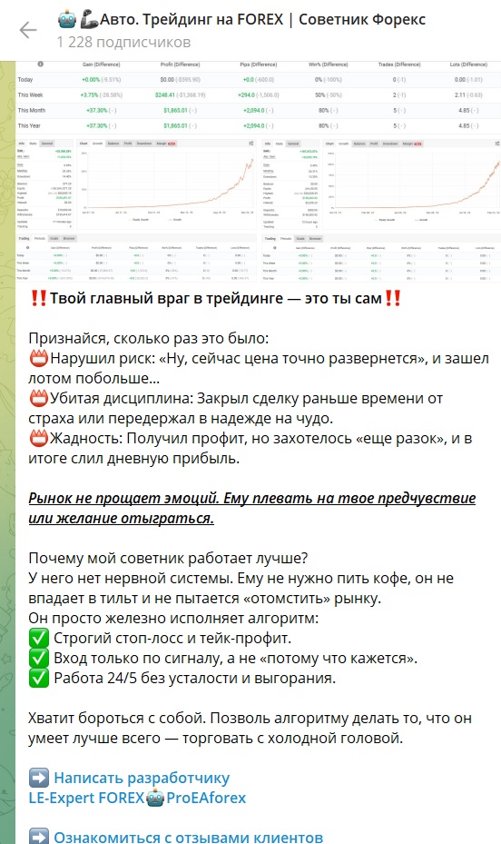 fxexpert2025 fxexpert2025