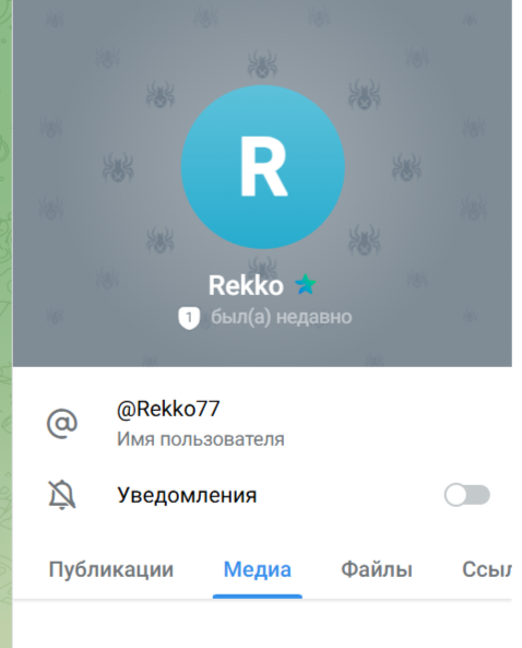 Rekko отзывы Rekko отзывы