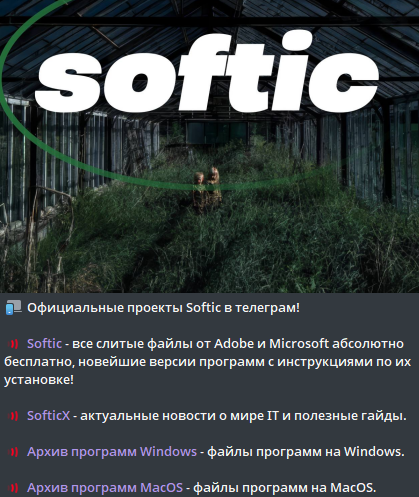 софтик тг софтик тг
