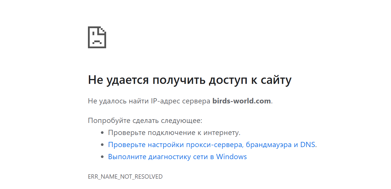 world birds world birds