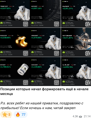 акула рынка акула рынка