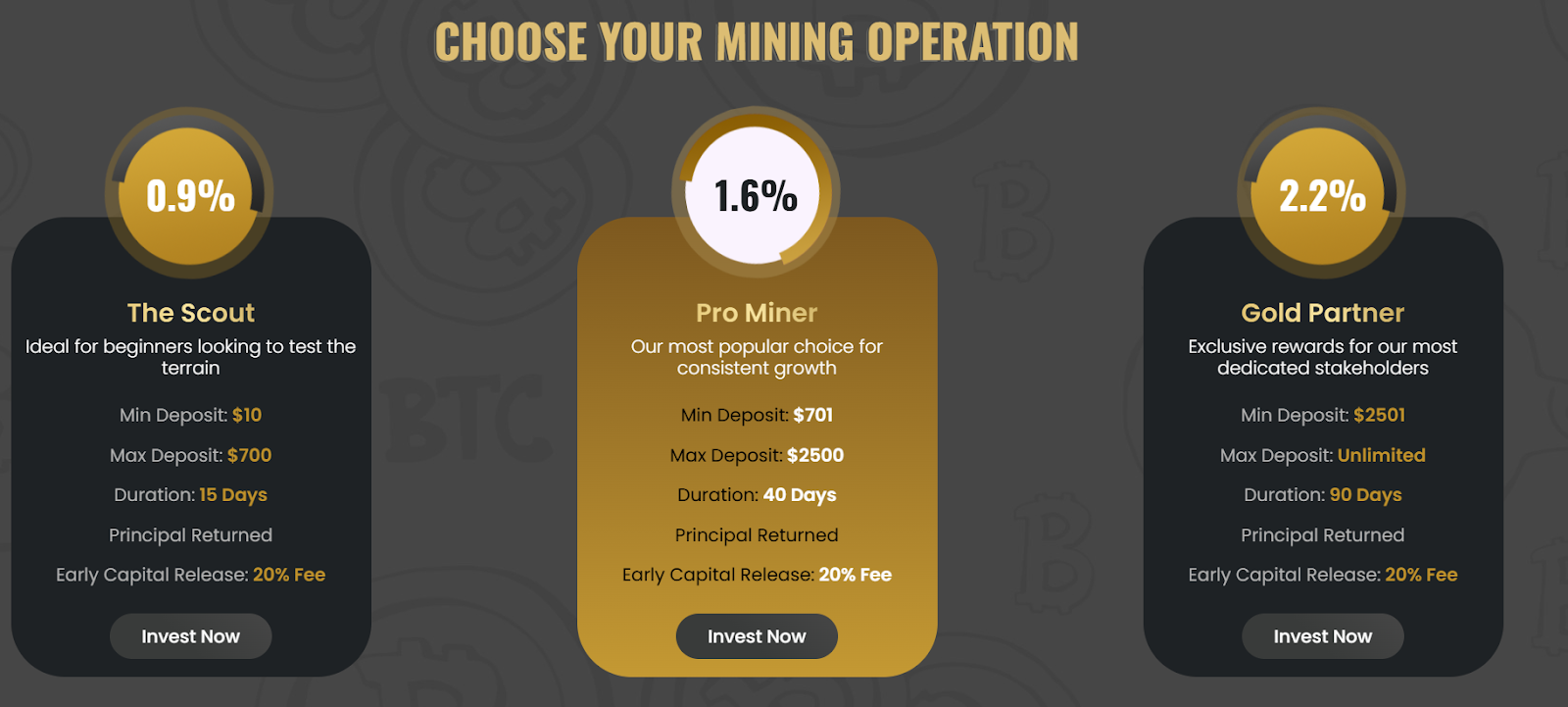 goldnmine пирамида goldnmine пирамида