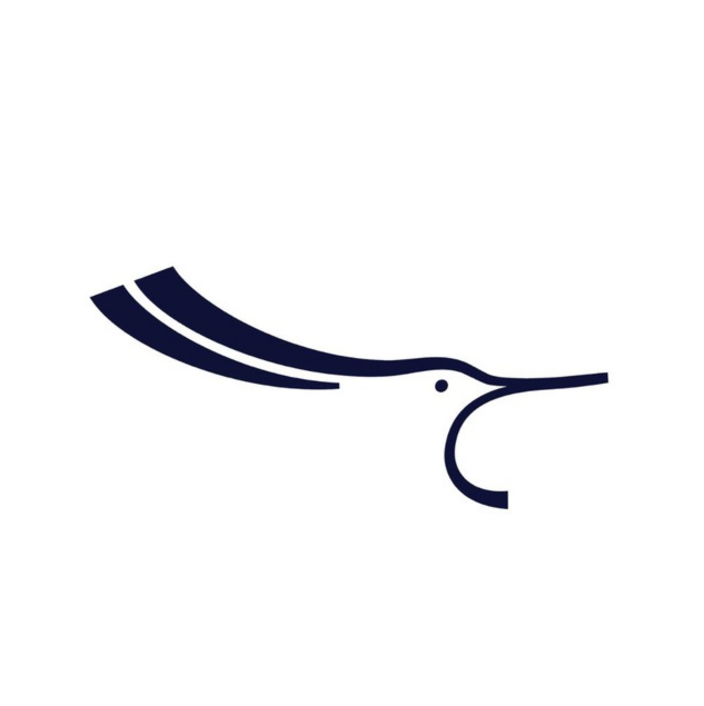 Luxonicauto