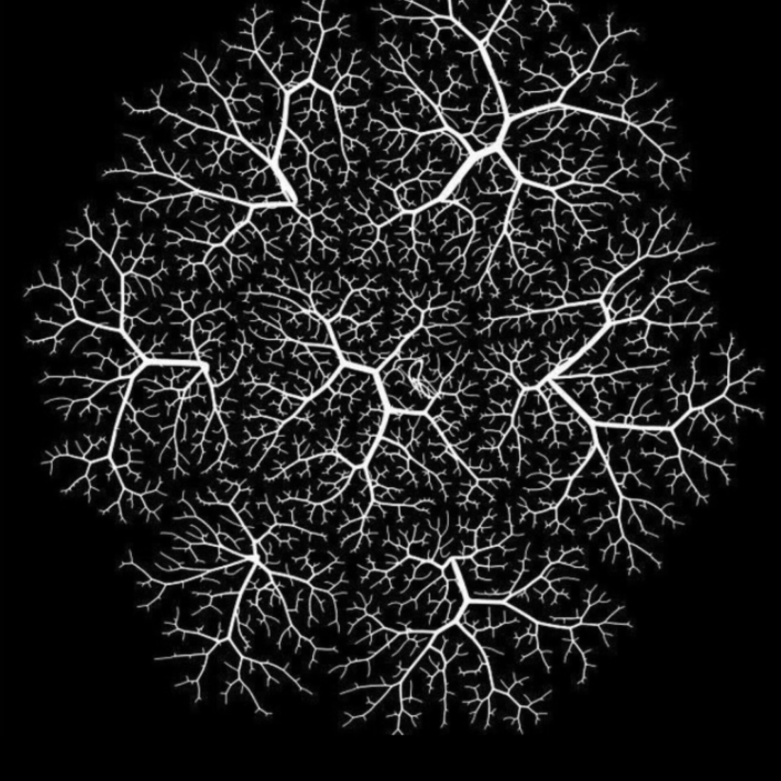 Neuro Trade