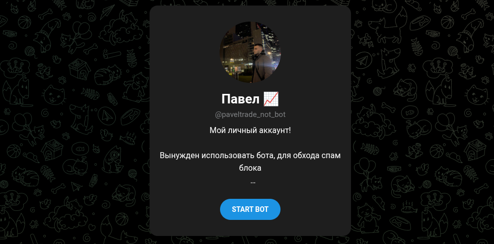 paveltrade not bot paveltrade not bot