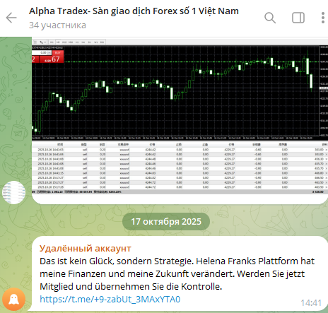 alpha tradex alpha tradex