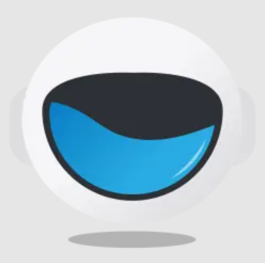 Bot t