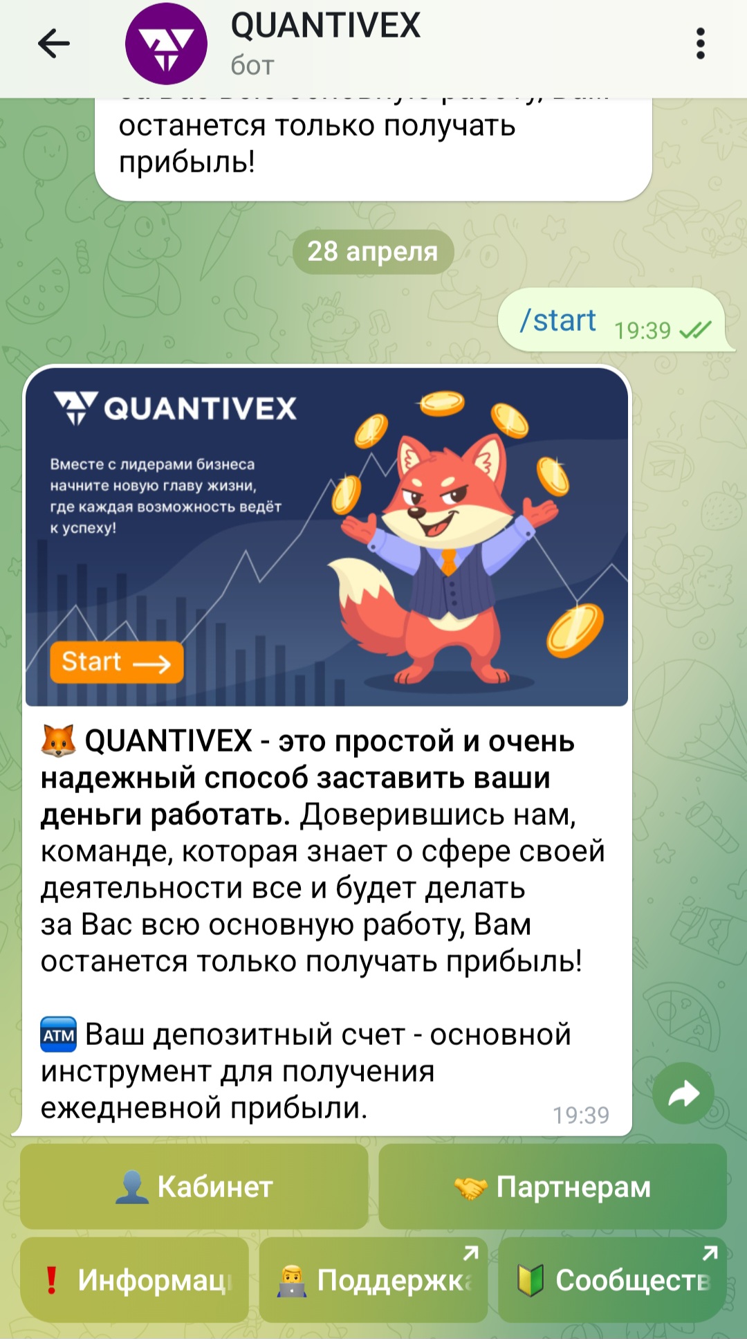 quantivex bot quantivex bot