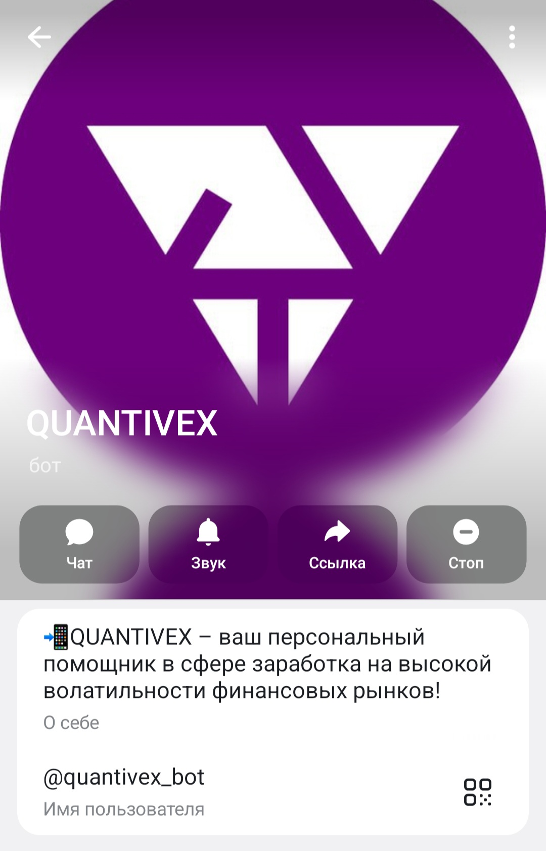 quantivex телеграм quantivex телеграм