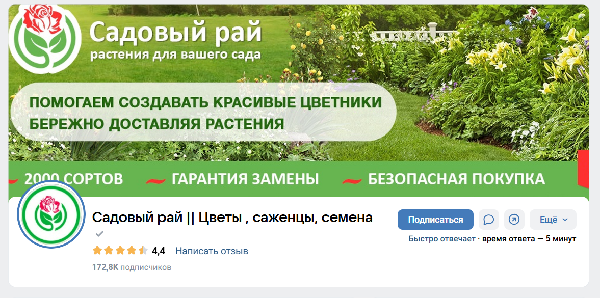 рассада саженцы садовый рай в телеграмм отзывы рассада саженцы садовый рай в телеграмм отзывы