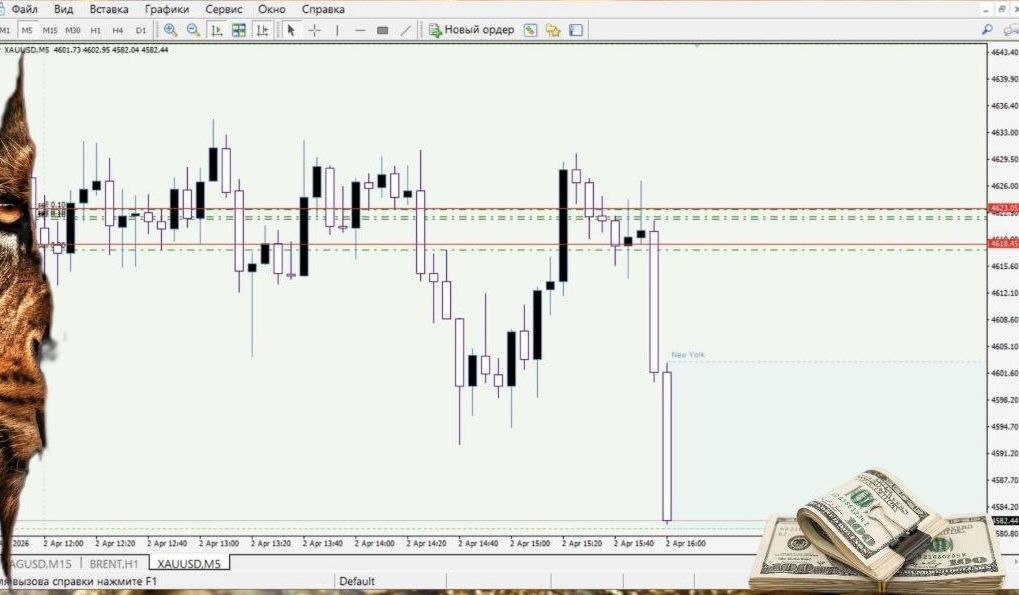 Trading Forex Gold Trading Forex Gold