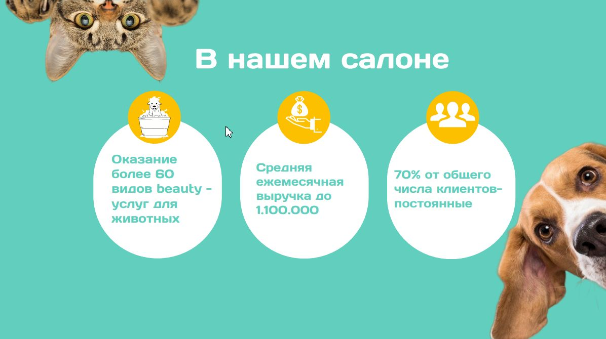 цаца грум франшиза отзывы цаца грум франшиза отзывы