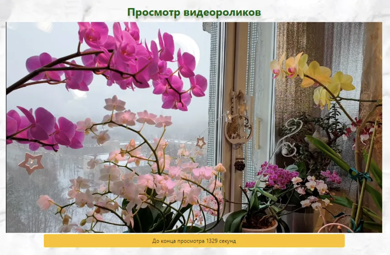 ubvideon site отзывы ubvideon site отзывы