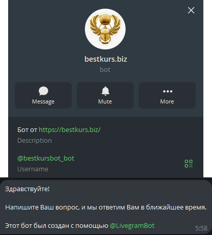 bestkurs biz bestkurs biz