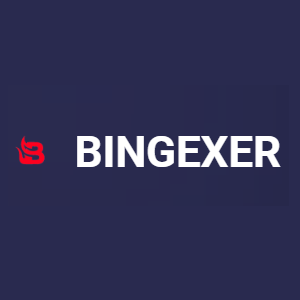 Bingexer