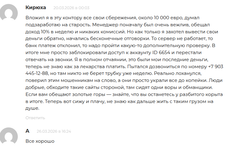 market frame отзывы market frame отзывы