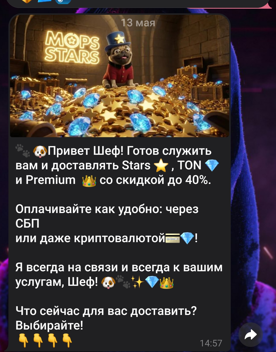 mops stars mops stars