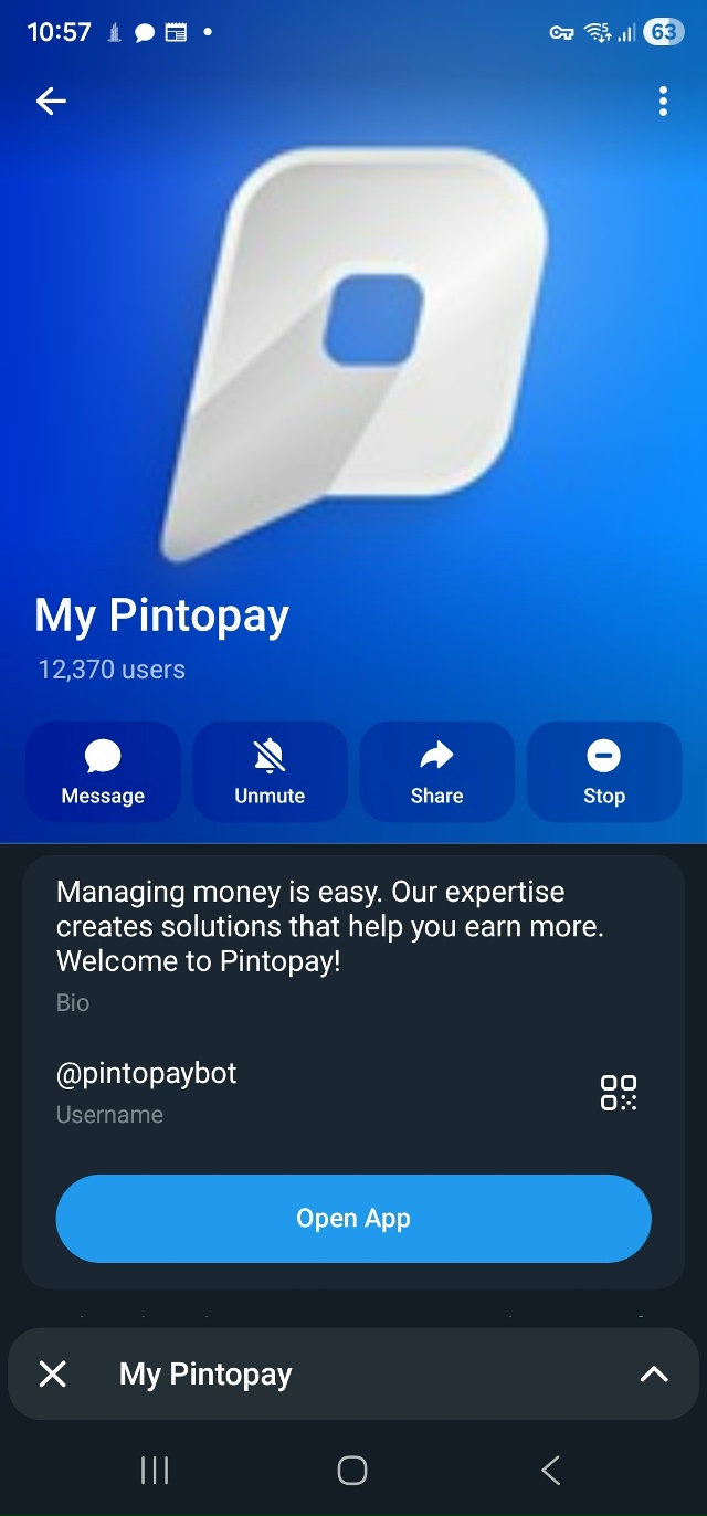 my pintopay отзывы my pintopay отзывы