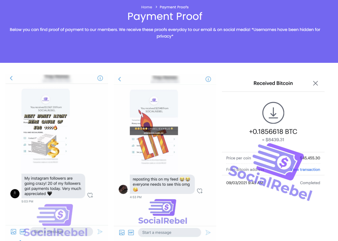 socialrebel co socialrebel co