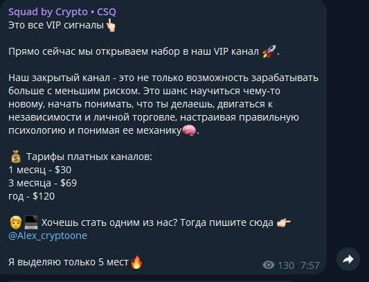 squad by crypto csq squad by crypto csq