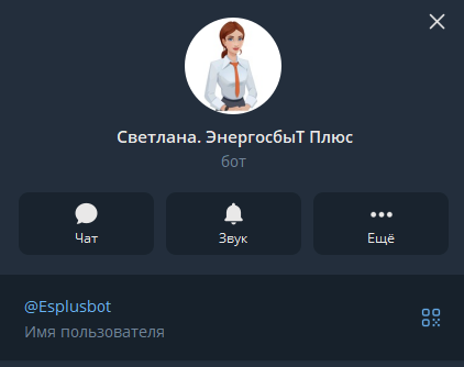 светлана энергосбыт плюс светлана энергосбыт плюс