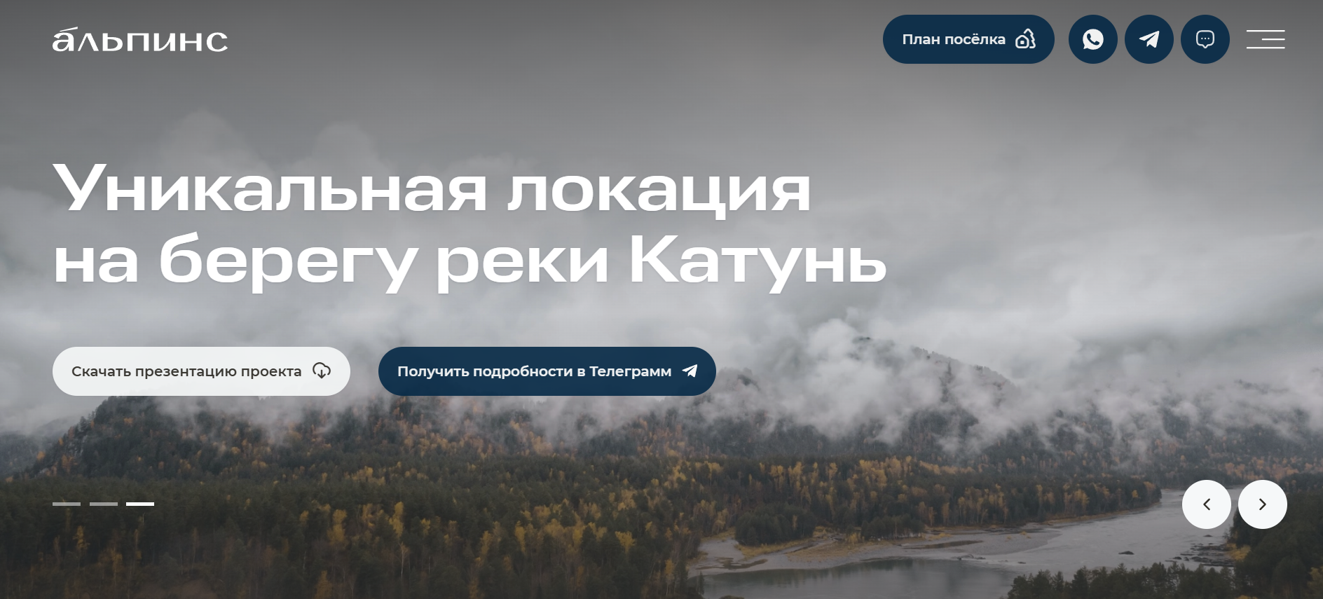 альпинс инвест альпинс инвест