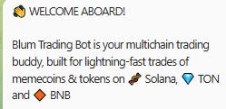 Blum Trading Blum Trading